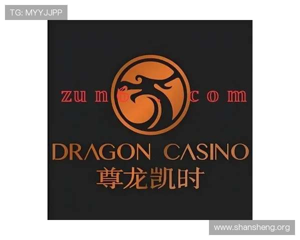 尊龙凯时体育域名选择技巧提升您的网站访问速度与稳定性